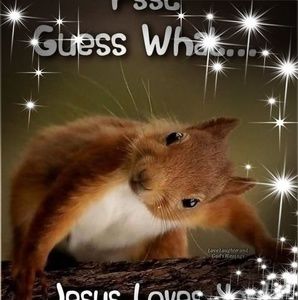 Meet your Posher, Pat